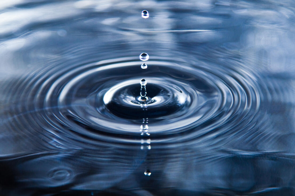 Exploring Biblical generosity